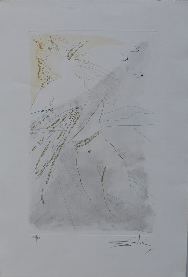 Dali Salvador