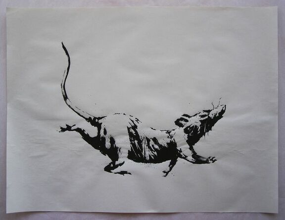 Rat