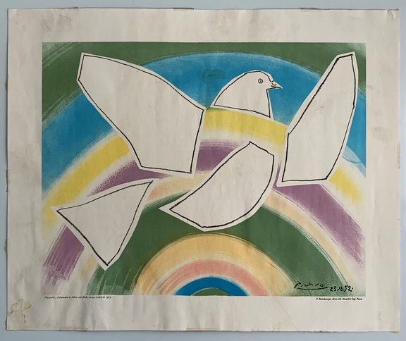 Taube im Regenbogen
